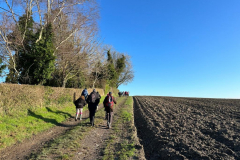 Along-the-fields