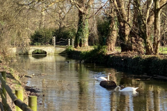 Bridge
