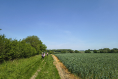 Blue-skies