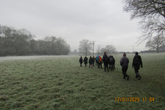 Cold-walk