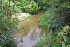 Pond