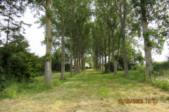 Path
