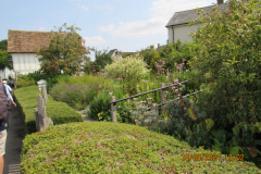 Hedgerow