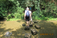 Stepping-stones