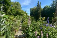 Ashwell Garden Visit