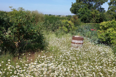 20220615_100554-scaled