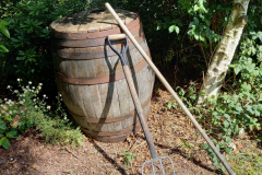 20220615_103350-scaled