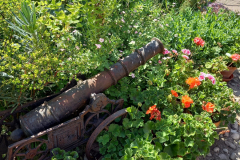 20220615_104515-scaled