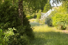 IMG-20220615-WA0006-1