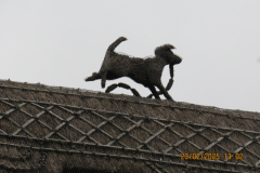 thatched-roof