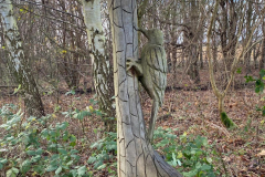 Wood-woodpecker