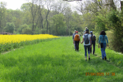 Walkers-passing-field