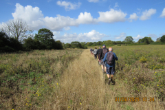 on-the-path