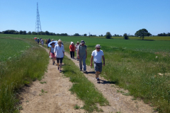 20210613_120900-scaled