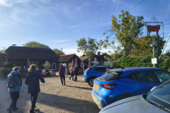 Leaving-the-red-cow