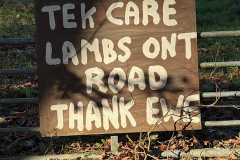 Funny-sign
