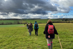 IMG_Across-the-fields