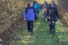 Through-the-hedgerows