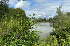 Clavering lakes