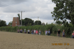 Walkers
