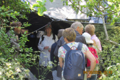 Wildlife hide