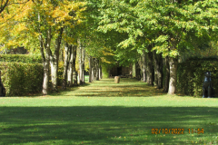 Tree lined walk