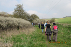 Along the path