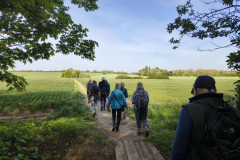 Out-in-to-the-fields