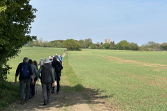 across-the-fields