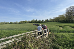 crossing-a-bridge