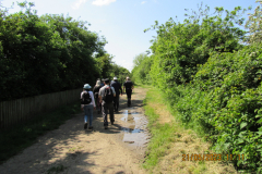 Walkers