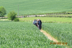 Walkers on the path