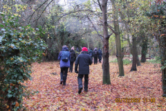 through-the-woods