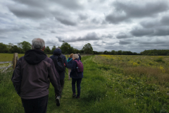 along-the-fields