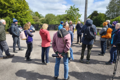 talk-before-walk
