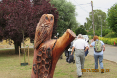 owl