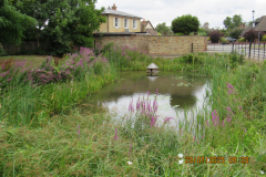 pond