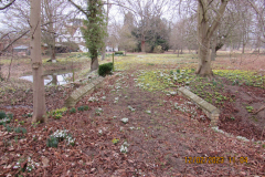 SPRING FLOWERS