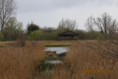 RSPB-fowlmere