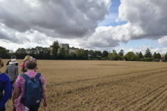 Fulbourn-rice-mill