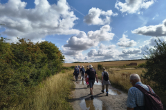 Puddled-path