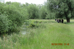 walking-by-the-river