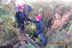 Helping-hand