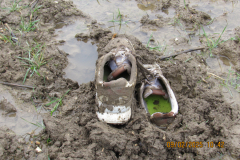 Shoes-stuck-in-mud
