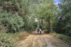 Dry-path