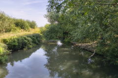 River-cam