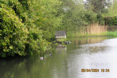 Duck-house