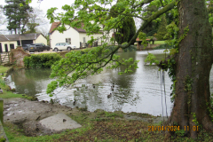 Village-pond