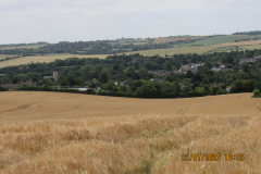 Fields