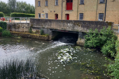 20220521_100809-scaled